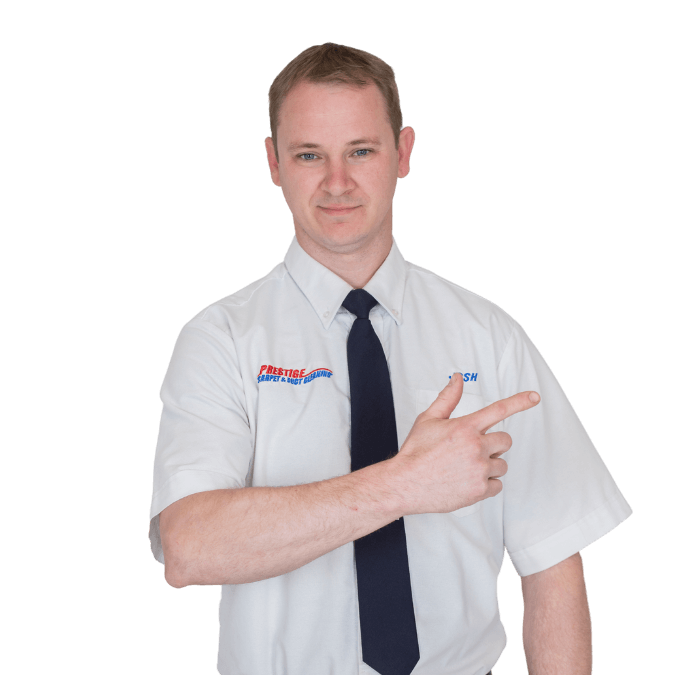 Prestige Carpet Cleaning Technician Josh